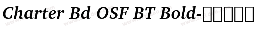 Charter Bd OSF BT Bold字体转换